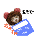 moco cat（個別スタンプ：1）