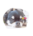 かまってちゃんワンコ笑笑（個別スタンプ：7）