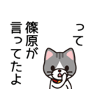 篠原はお腹が減ると機嫌悪い（個別スタンプ：40）