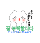 動く！韓国語のかわいい白猫（日本語付）（個別スタンプ：2）