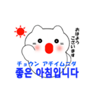 動く！韓国語のかわいい白猫（日本語付）（個別スタンプ：5）