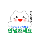 動く！韓国語のかわいい白猫（日本語付）（個別スタンプ：6）