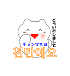 動く！韓国語のかわいい白猫（日本語付）（個別スタンプ：17）