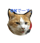 我が家の猫達NO1（個別スタンプ：5）