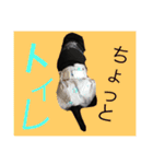 ダックス犬ミントちゃん♂（個別スタンプ：2）