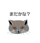 みんなの猫（個別スタンプ：3）