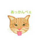 みんなの猫（個別スタンプ：13）