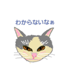 みんなの猫（個別スタンプ：14）