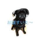 三兄弟♡（個別スタンプ：13）