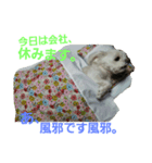 mamemamedog（個別スタンプ：4）