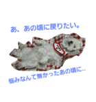 mamemamedog（個別スタンプ：5）