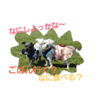 mamemamedog（個別スタンプ：7）