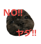 mamemamedog（個別スタンプ：8）
