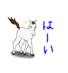 はなひめちゃんと白馬（個別スタンプ：5）