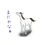 はなひめちゃんと白馬（個別スタンプ：6）