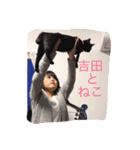 吉田の吉田による吉田のためのスタンプ（個別スタンプ：3）