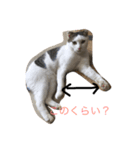 まるこはん。と息子はん。（個別スタンプ：1）