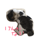 まるこはん。と息子はん。（個別スタンプ：2）