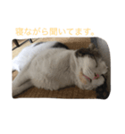 まるこはん。と息子はん。（個別スタンプ：3）