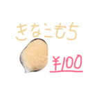 サリごまきなこ2（個別スタンプ：7）