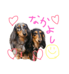 サリごまきなこ2（個別スタンプ：8）