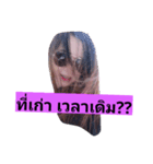 thip-ka（個別スタンプ：7）