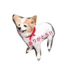 クーちゃん‼︎（個別スタンプ：1）