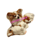 クーちゃん‼︎（個別スタンプ：5）