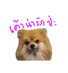 CODA the emotions（個別スタンプ：4）