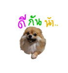 CODA the emotions（個別スタンプ：8）