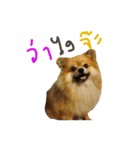 CODA the emotions（個別スタンプ：10）