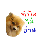 CODA the emotions（個別スタンプ：11）