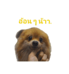 CODA the emotions（個別スタンプ：27）