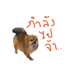 CODA the emotions（個別スタンプ：32）