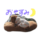 キャバガールズ（個別スタンプ：14）
