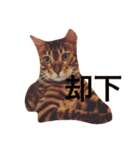 とららんど.1（個別スタンプ：14）