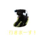 黒プーがんも（個別スタンプ：13）