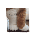 たますたんぷ（個別スタンプ：13）
