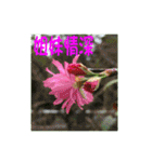 湖の露の花言葉 2（個別スタンプ：18）