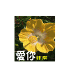 湖の露の花言葉 2（個別スタンプ：19）