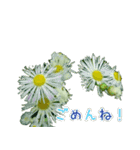 大切な人に贈る挨拶花スタンプ（個別スタンプ：4）