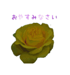 大切な人に贈る挨拶花スタンプ（個別スタンプ：7）