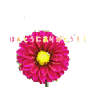 大切な人に贈る挨拶花スタンプ（個別スタンプ：12）