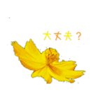 大切な人に贈る挨拶花スタンプ（個別スタンプ：13）