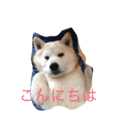 一緒に遊ぼうよ（個別スタンプ：2）
