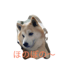 一緒に遊ぼうよ（個別スタンプ：5）