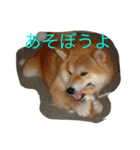 一緒に遊ぼうよ（個別スタンプ：6）