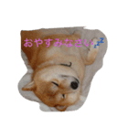 一緒に遊ぼうよ（個別スタンプ：8）