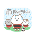 サッカーねこ（個別スタンプ：27）