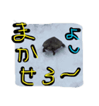 ぱんにゃ2（個別スタンプ：2）